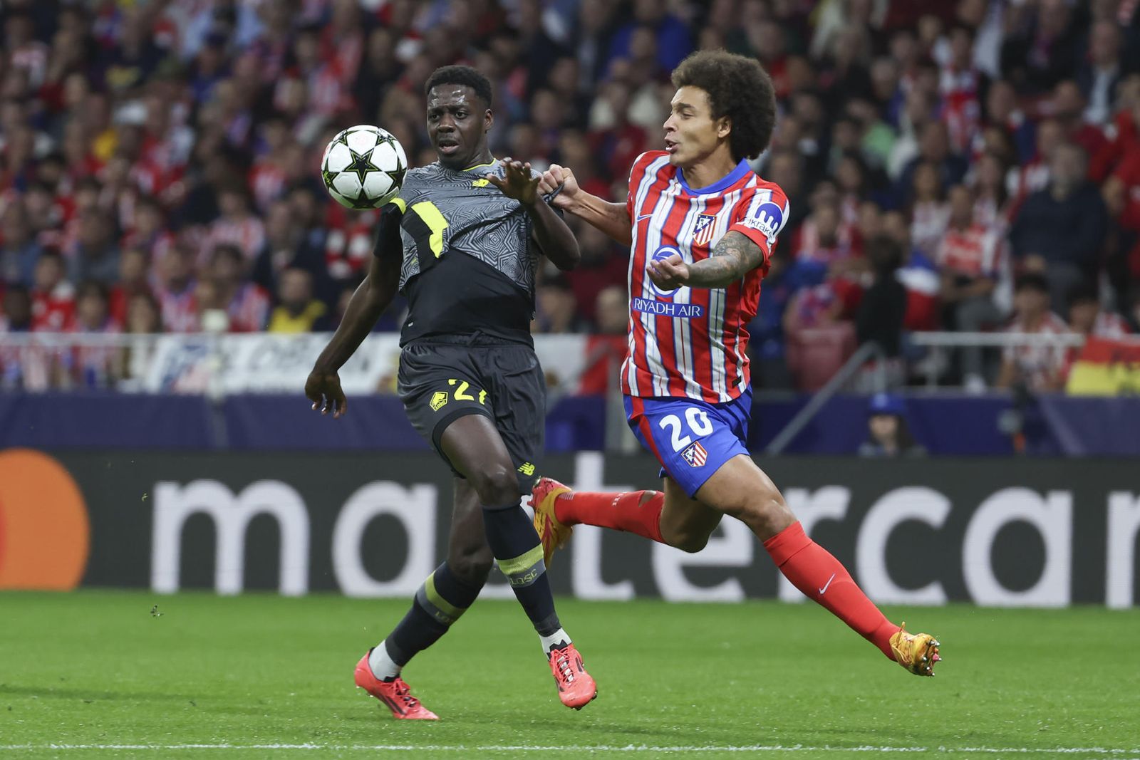 Witse ante el Lille