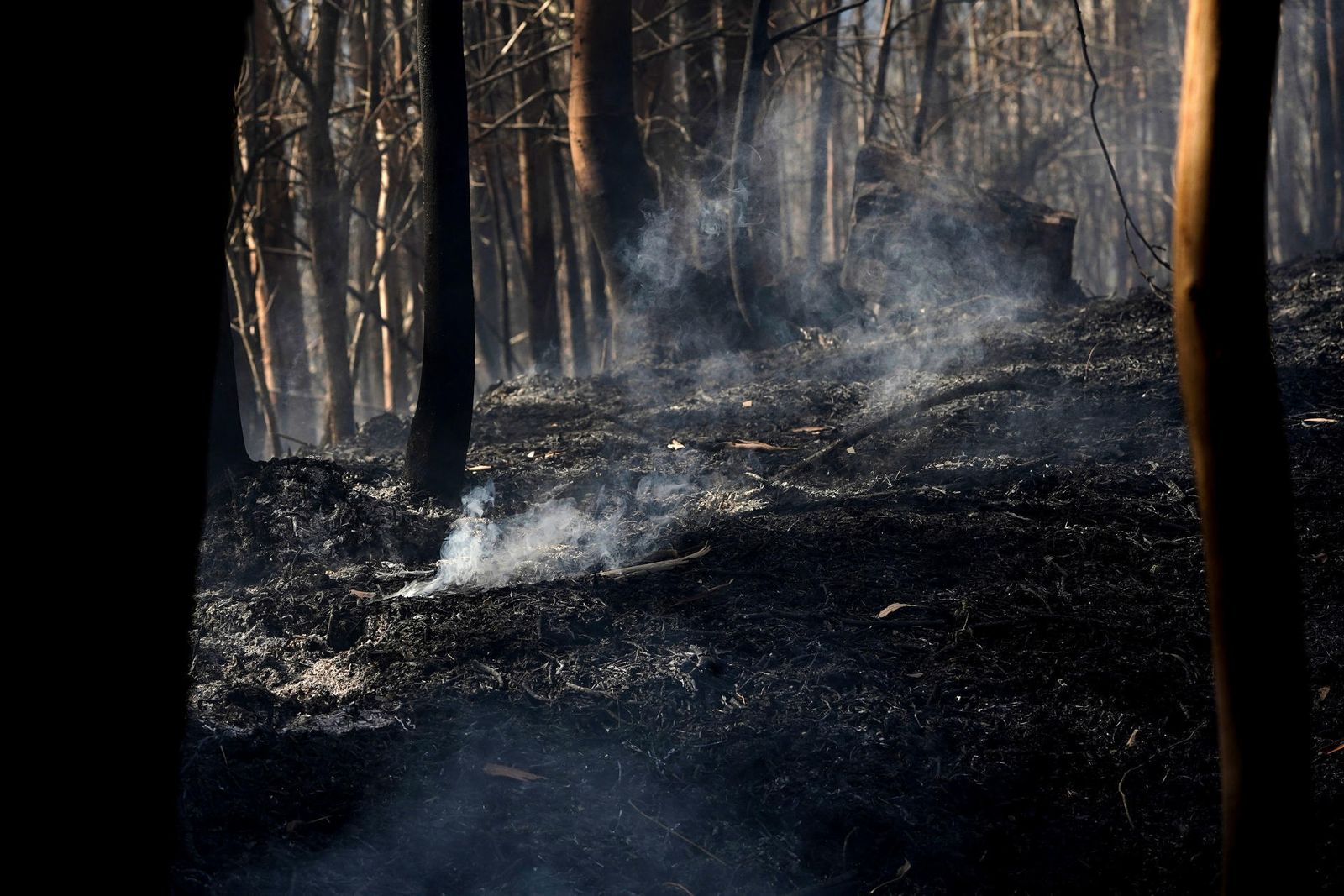 Incendio en Las Regueras (Asturias)