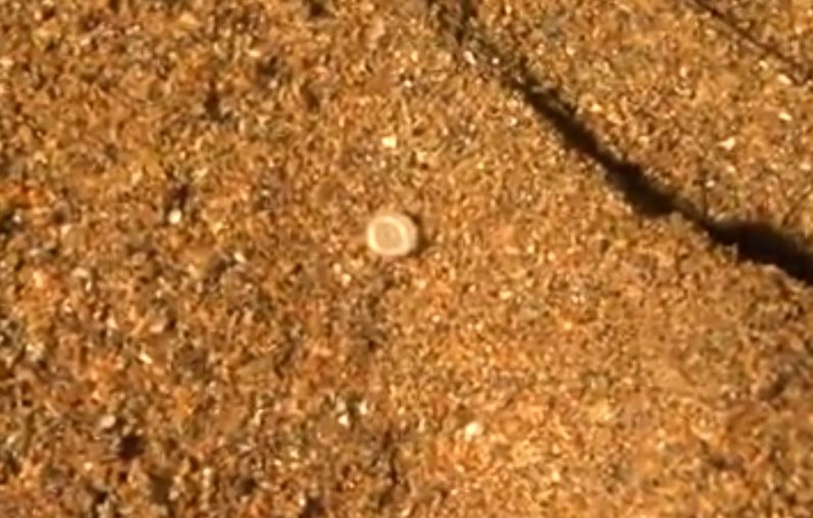 Uno de los pélets encontrados en la playa vasca de La Arena