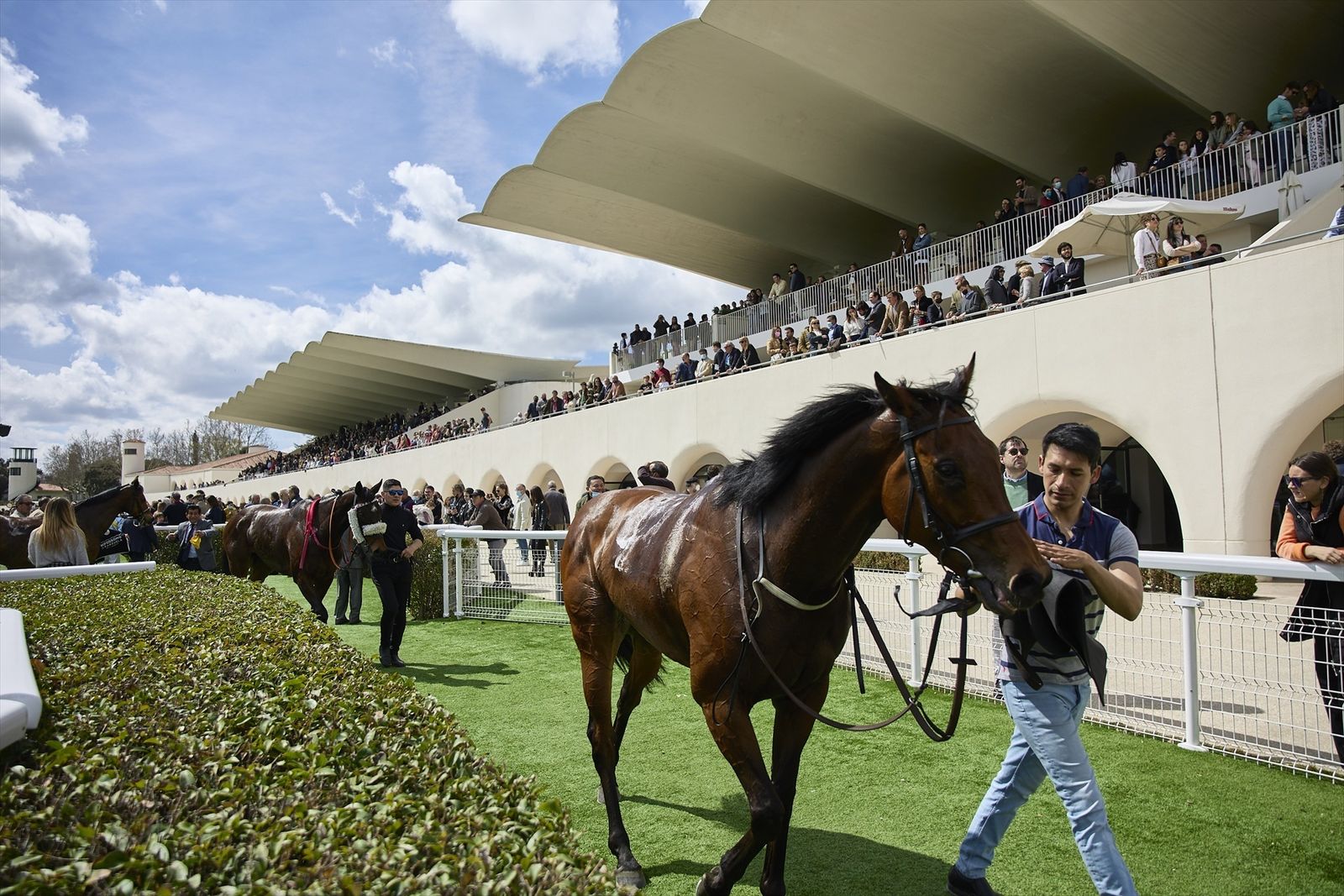 Jornada de puertas abiertas en el hipódromo de Madrid