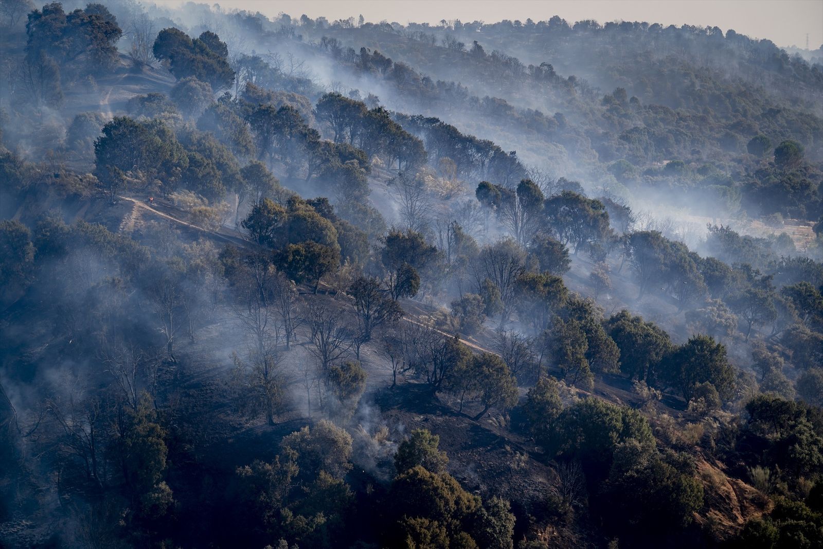 Incendio en Aldea del Fresno