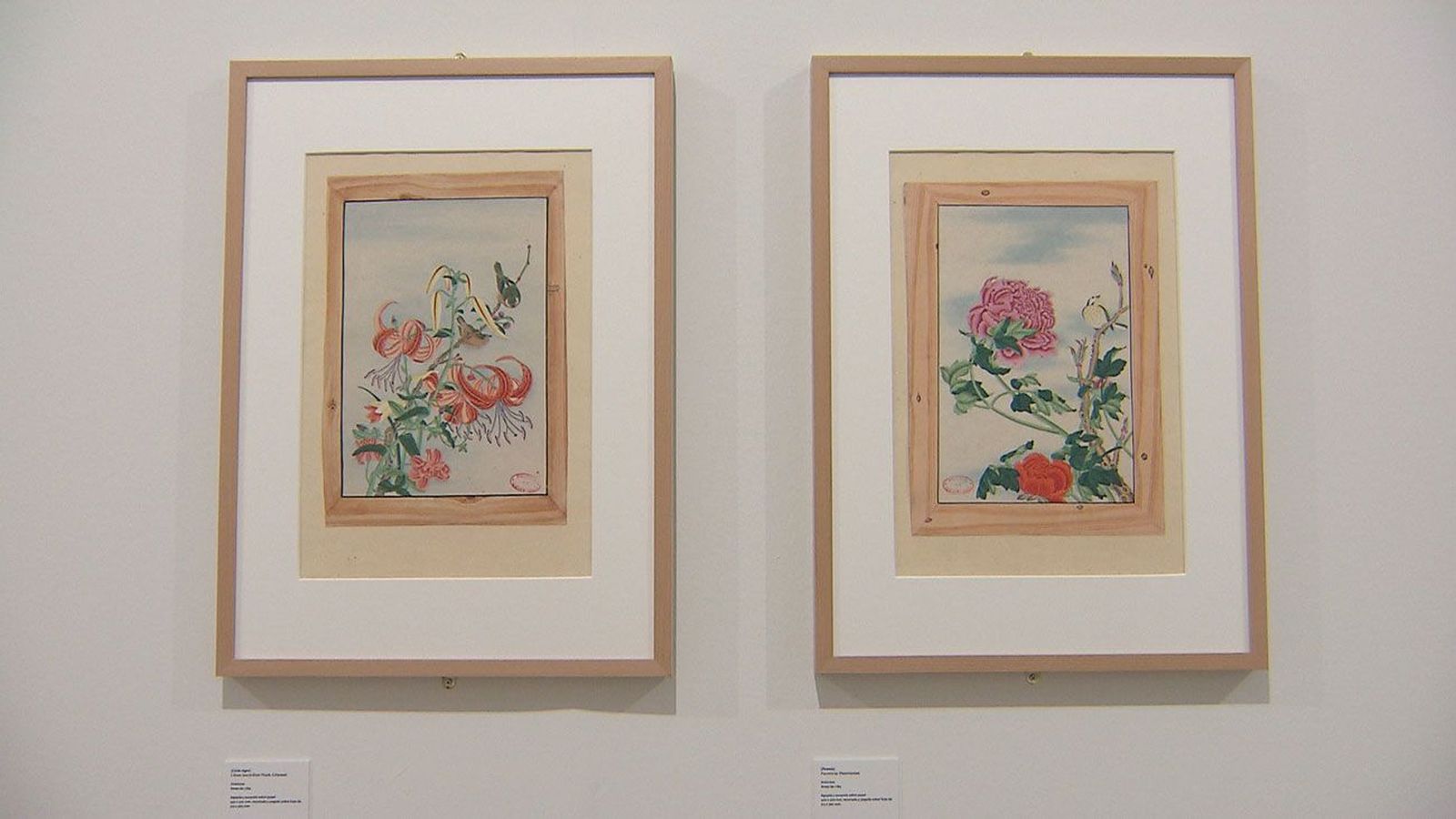 Arte y ciencia se dan la mano en la nueva exposición del Real Jardín Botánico