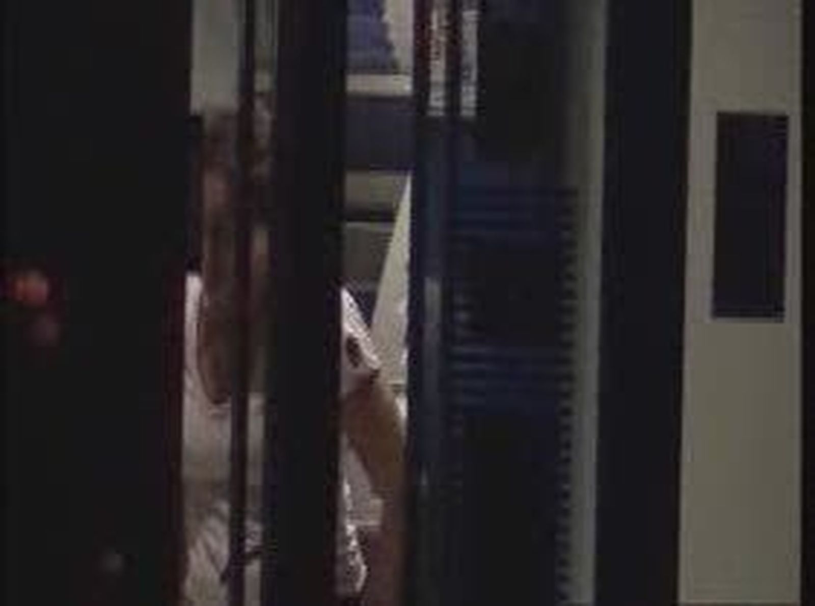 geo_2010911V0.wmv
