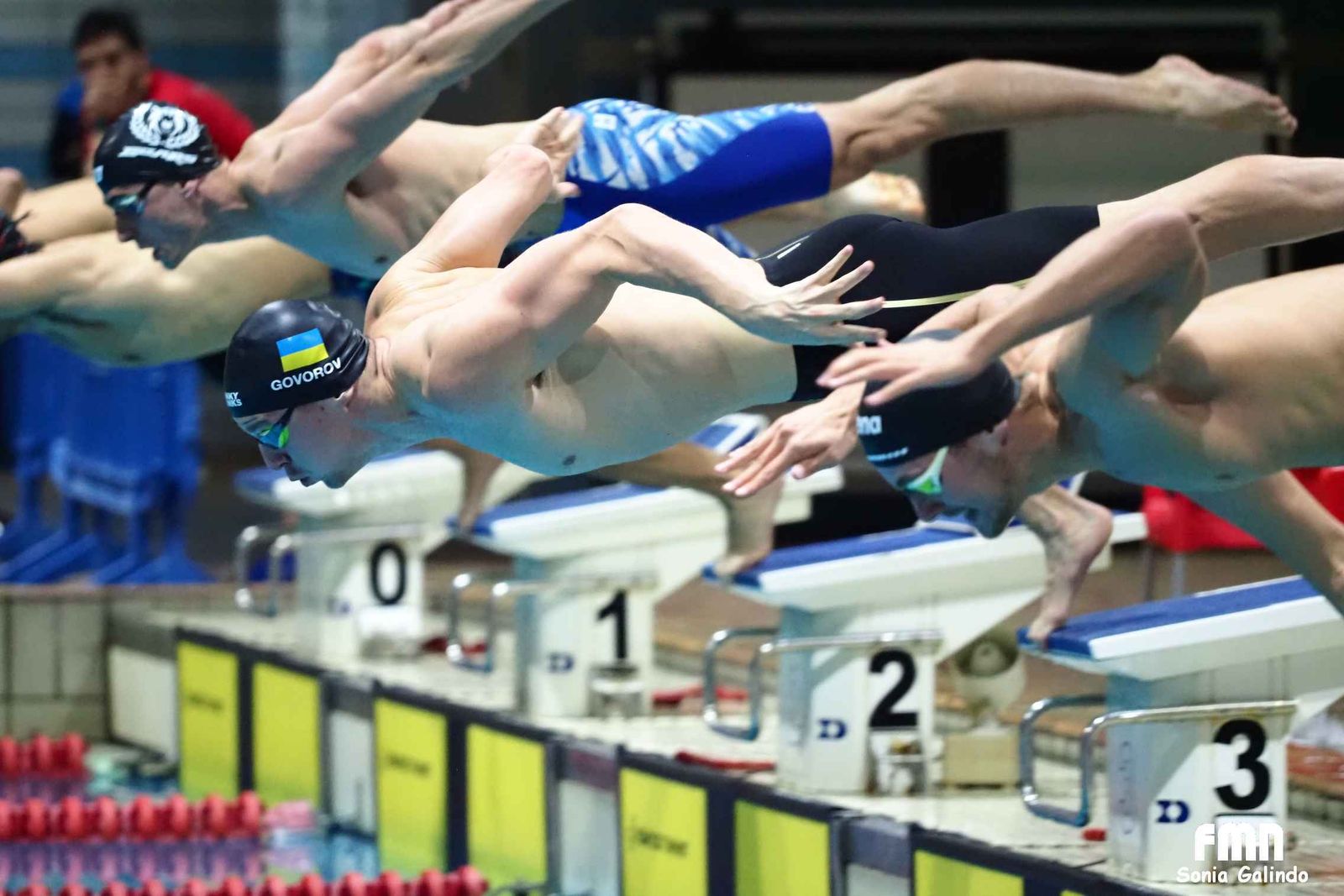 Natación