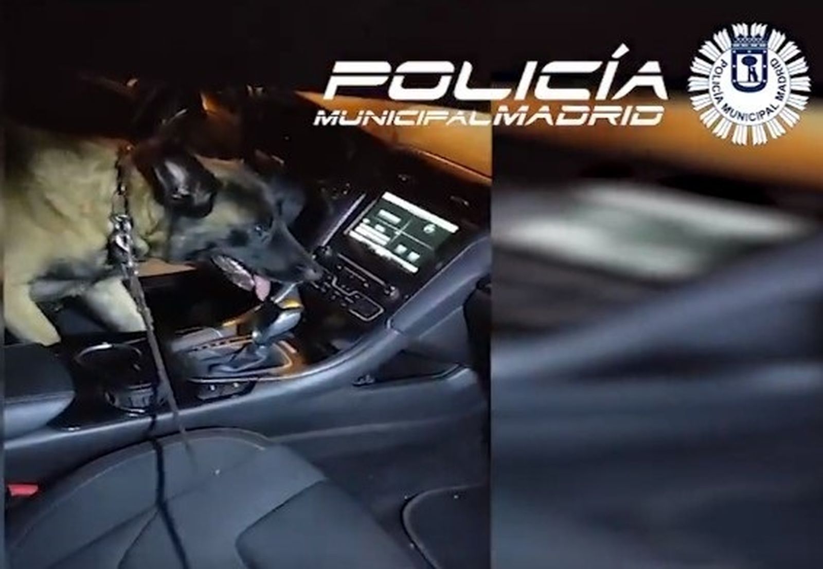 Detenido un vendedor de cocaína tras aparcar mal en una calle de Latina