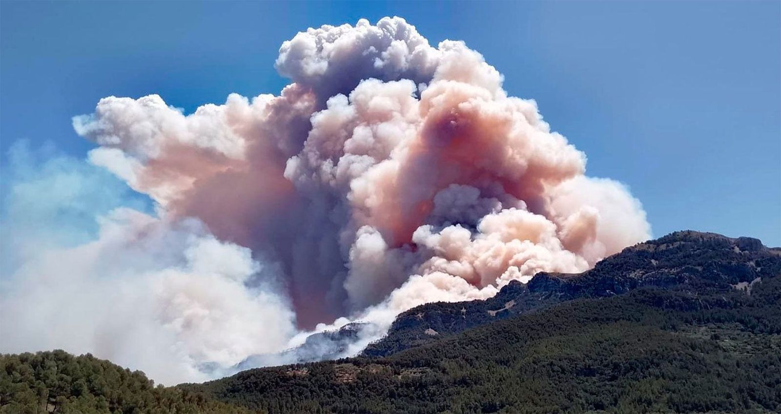 Un incendio forestal en Paüls (Tarragona) obliga a evacuar masías y confina 2.000 personas