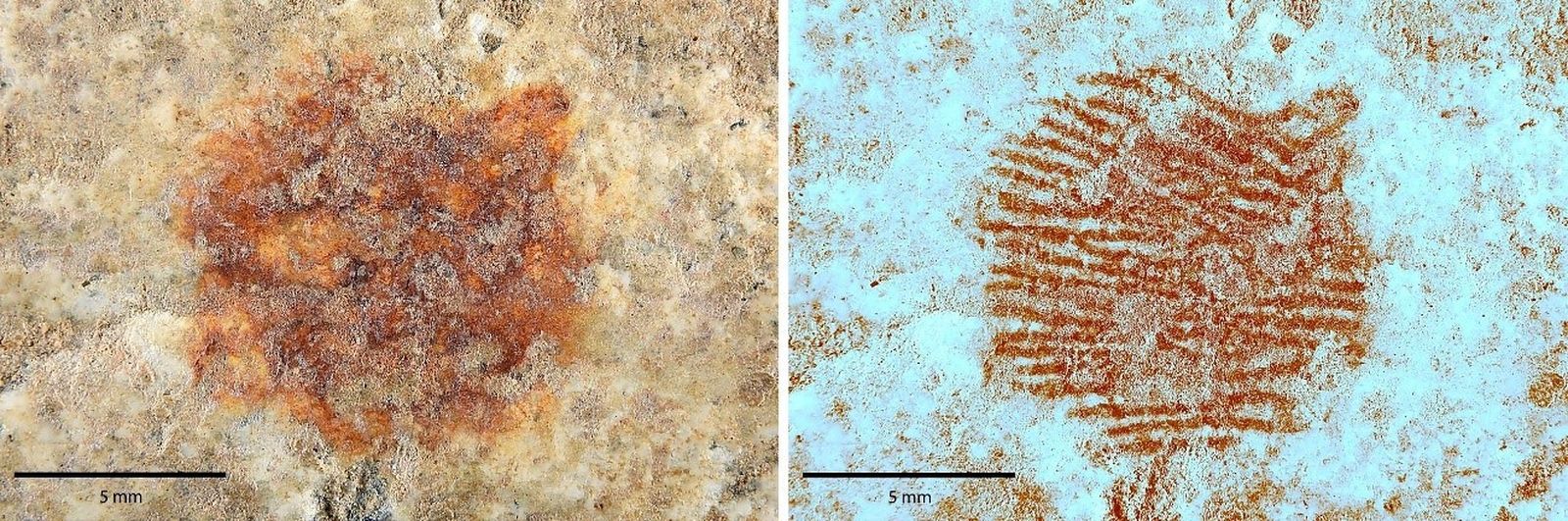 Imagen dermatoglífica obtenida mediante el análisis multiespectral