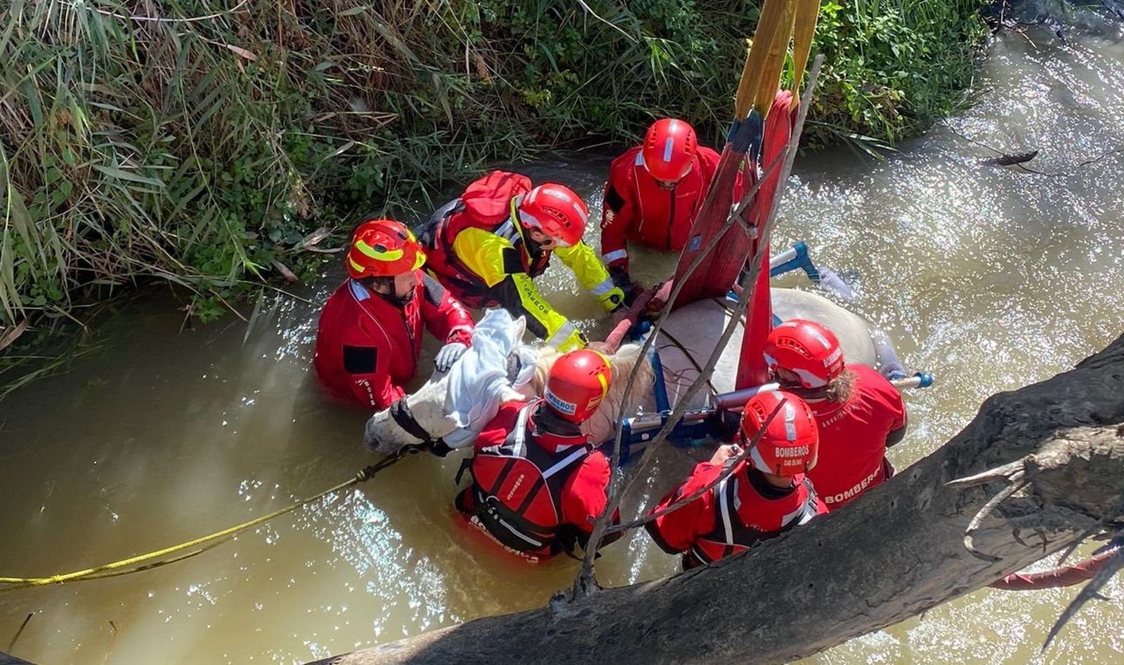 Rescate de una yegua en Alcalá