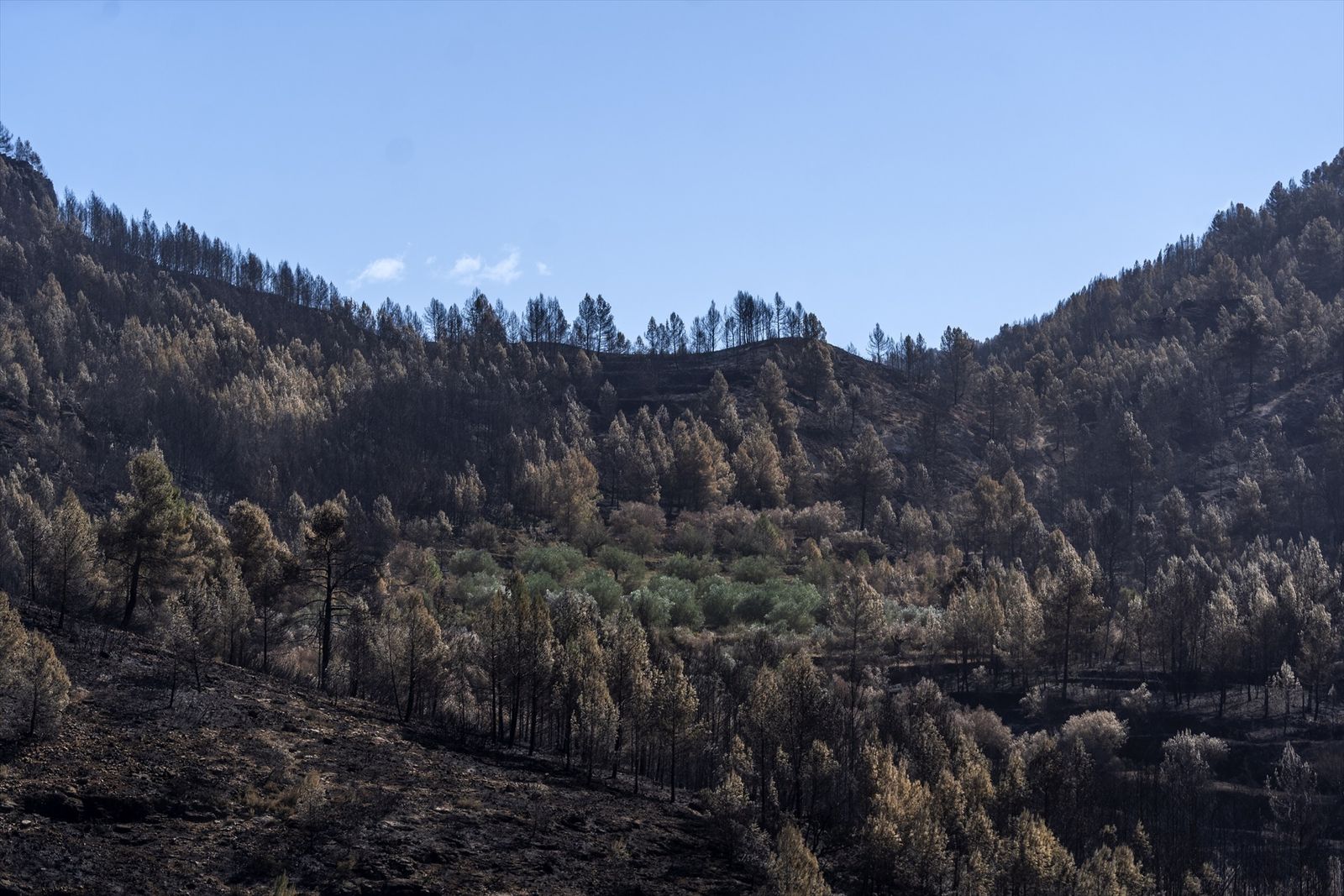 Incendio de Villanueva de Viver, Castellón
