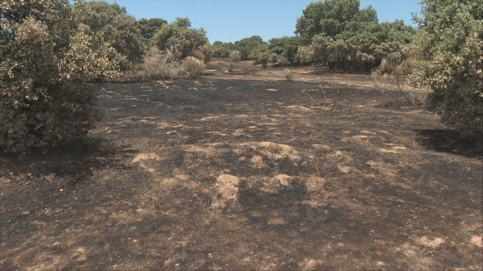 La Comunidad de Madrid destina 53 millones de euros en la lucha y prevención de incendios forestales