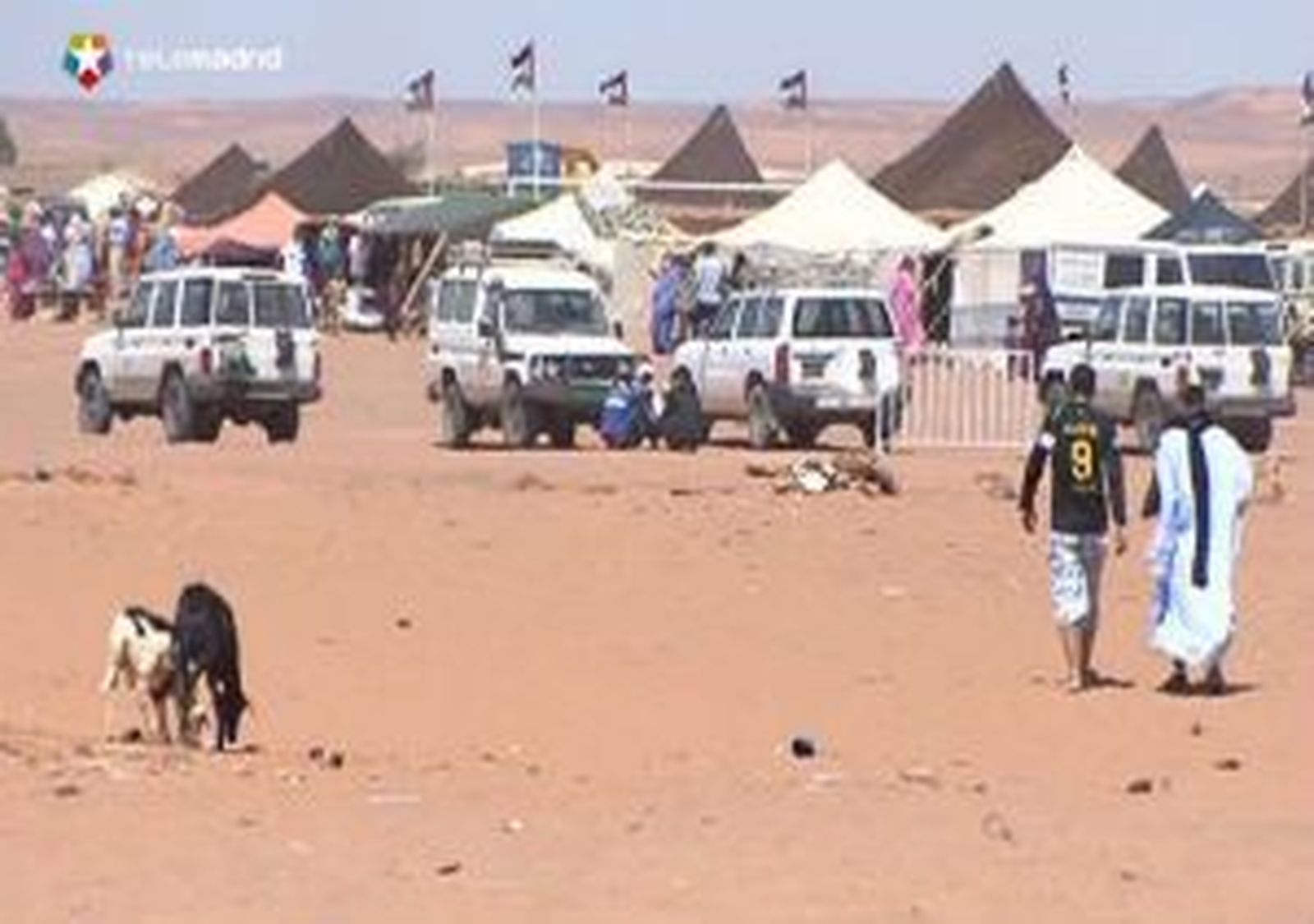 sahara.mp4