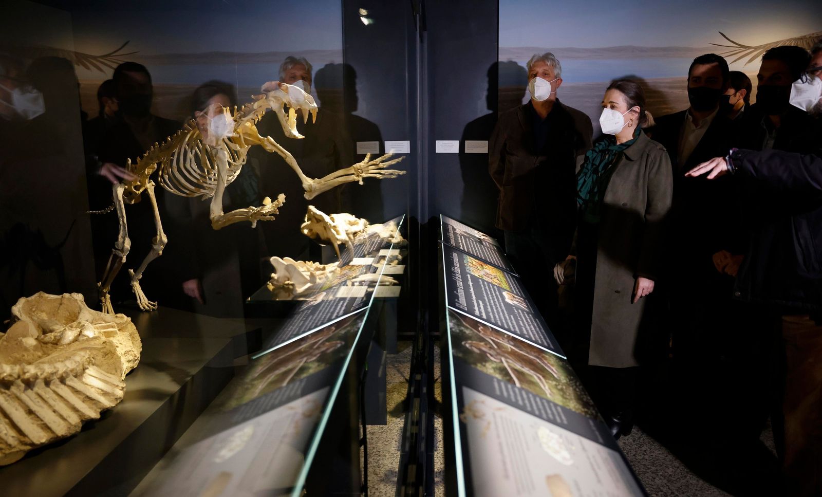 El Museo Arqueológico de Madrid inaugura una sala de paleontología y cambia su nombre