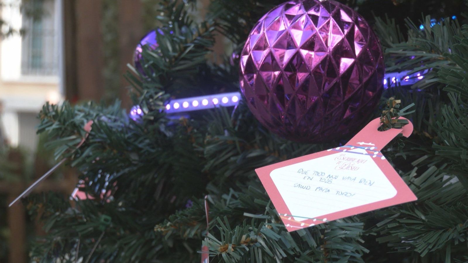 Del Canal de la Navidad al Bosque de los Deseos: el plan inmersivo que ilumina Pontejos
