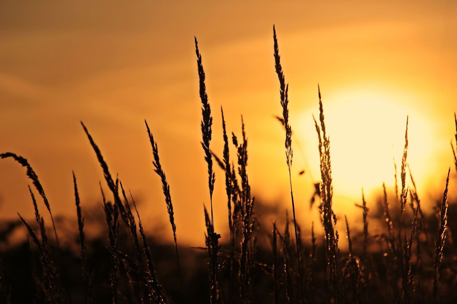 España es el país con más aumento de muertes por calor en Europa en este siglo