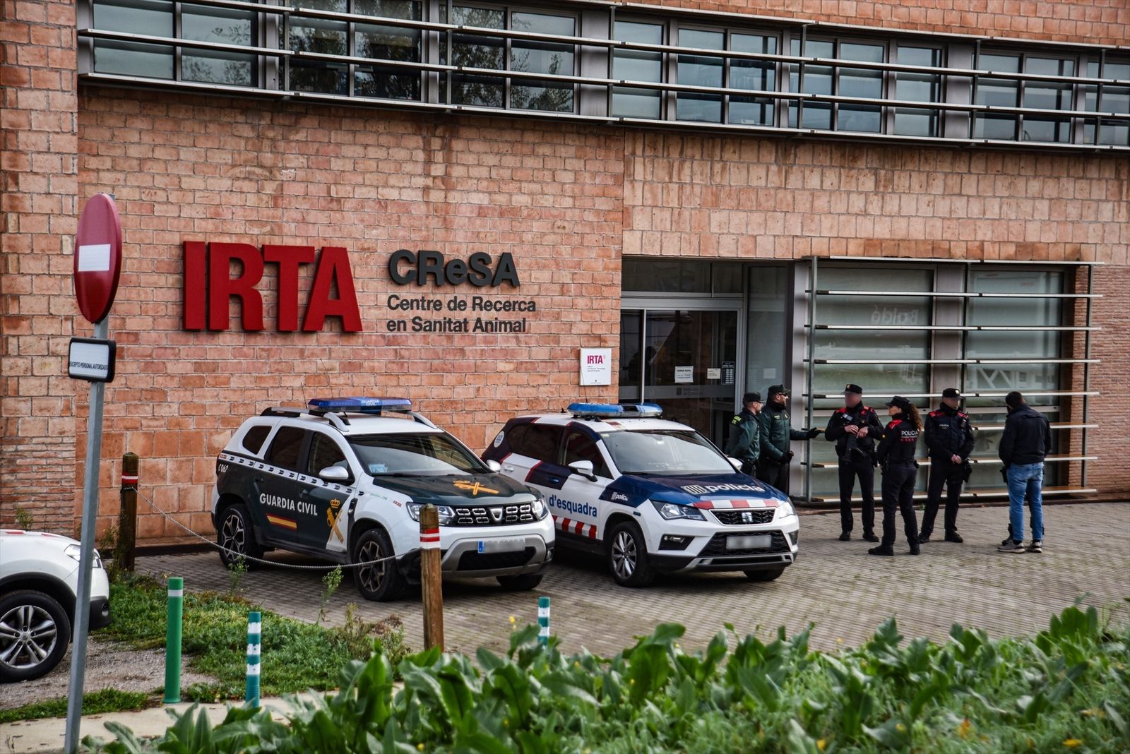 Agentes de la Guardia Civil y los Mossos d'Esquadra en el laboratorio del IRTA, en Barcelona