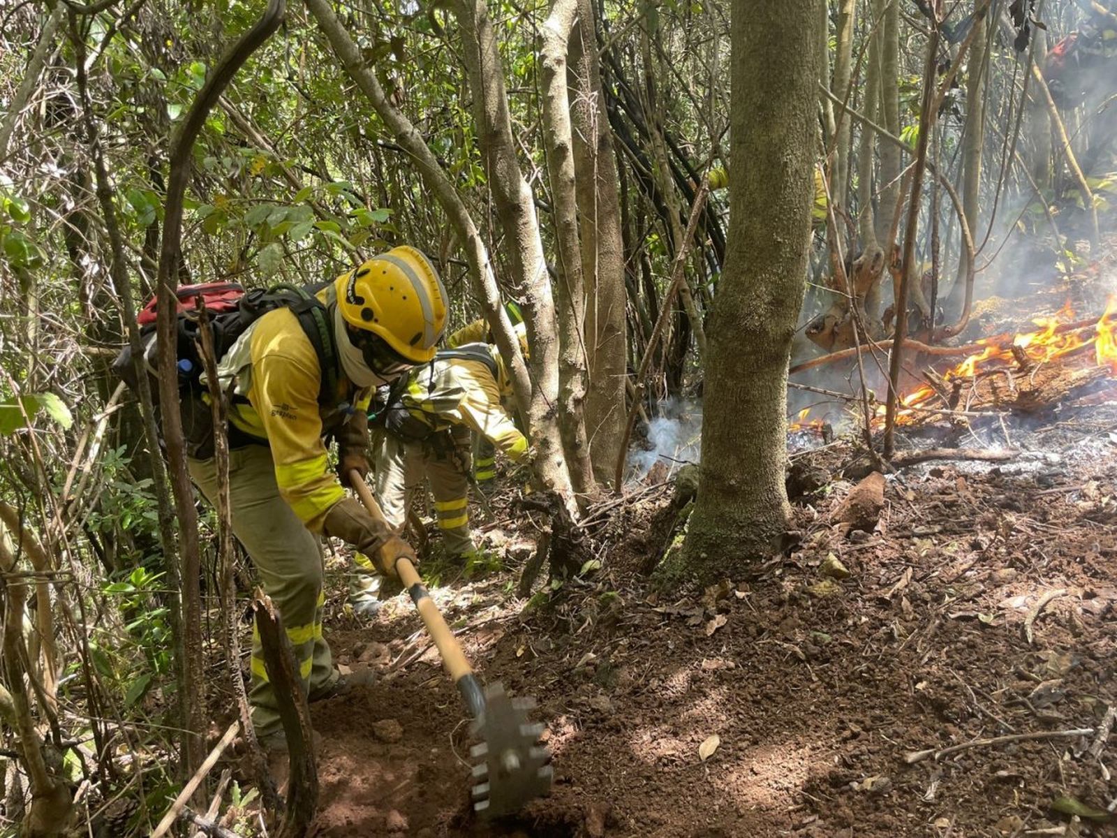 Equipos de intervención y refuerzo en incendios forestales (EIRIF) del Gobierno de Canarias