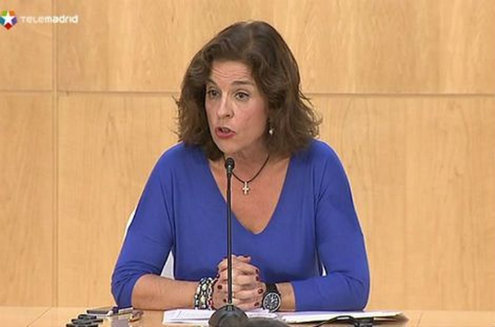 Botella pide modificar la ley para que se cumplan los servicios mínimos