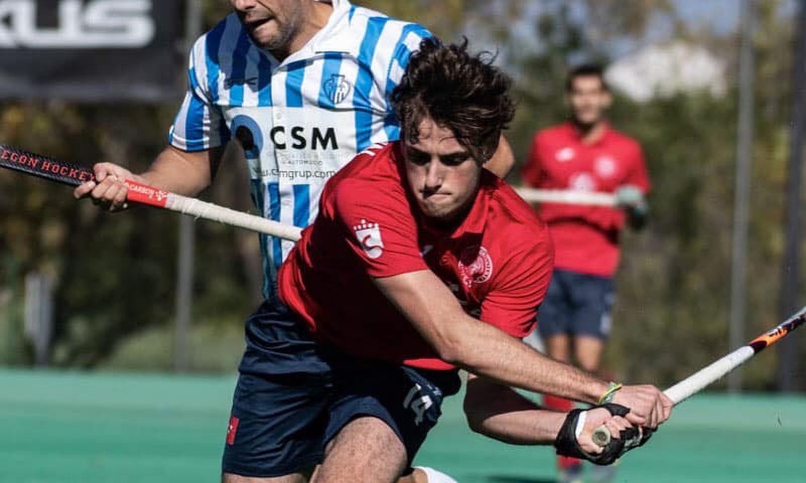 Sanse Complutense y