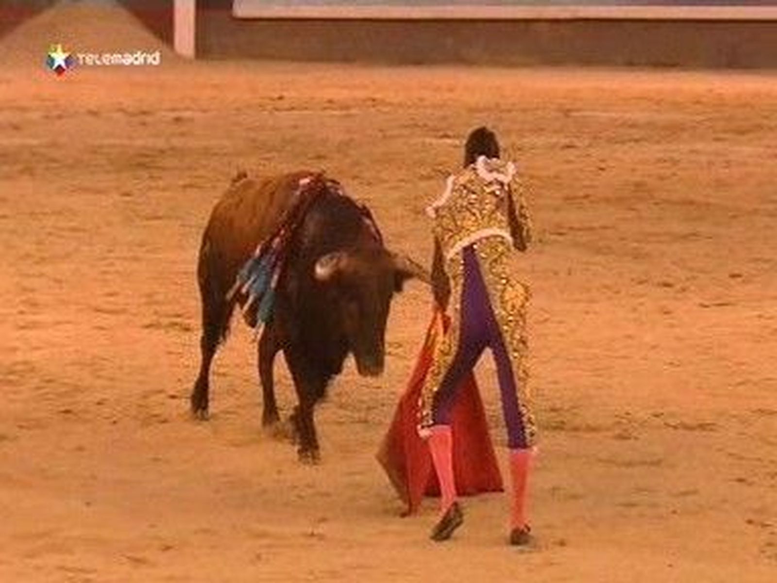 San Isidro 2011: 9ª de la feria