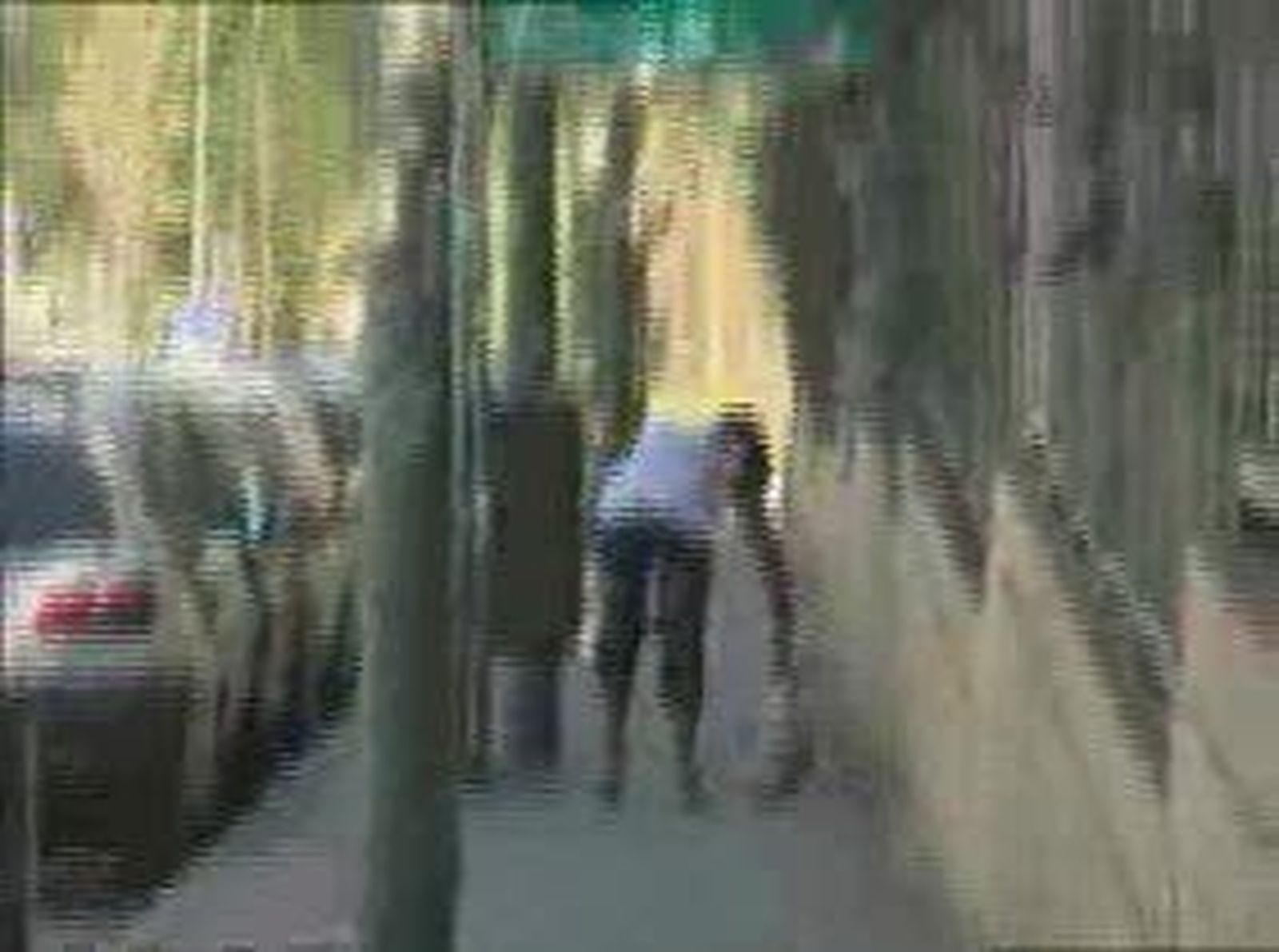 robos_2010820V0.wmv