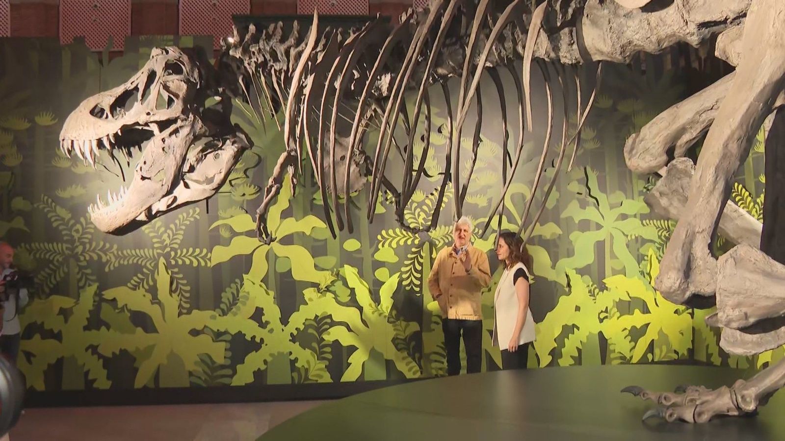 El director del Museo Arqueológico Regional será galardonado con el Premio Cultura de Madrid