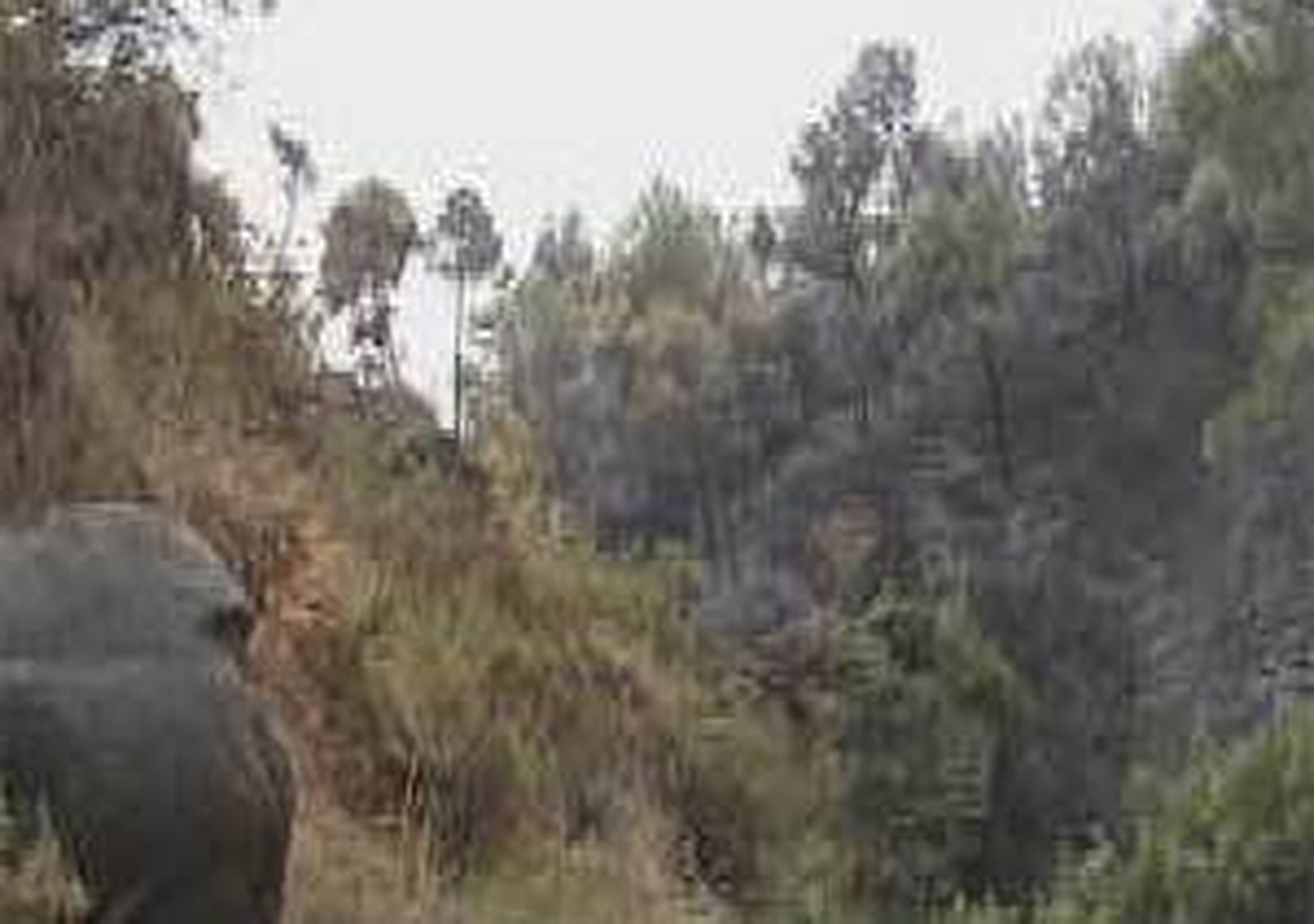 El incendio de Mijas (Málaga) afecta a 361 hectáreas  forestales y a 323 en suelo urbano