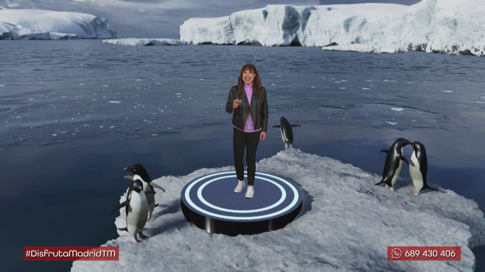 Conoce mejor a los pingüinos gracias a la realidad virtual