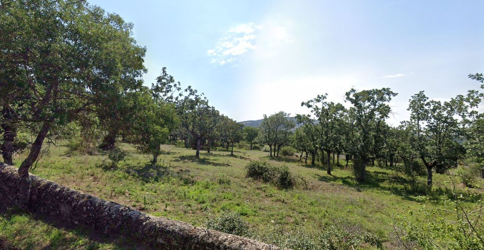 Dehesa de los Arroyuelos en Cercedilla