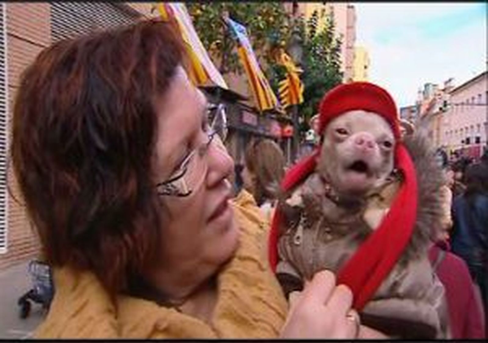 Cientos de personas acuden a la bendición de mascotas de San Antón