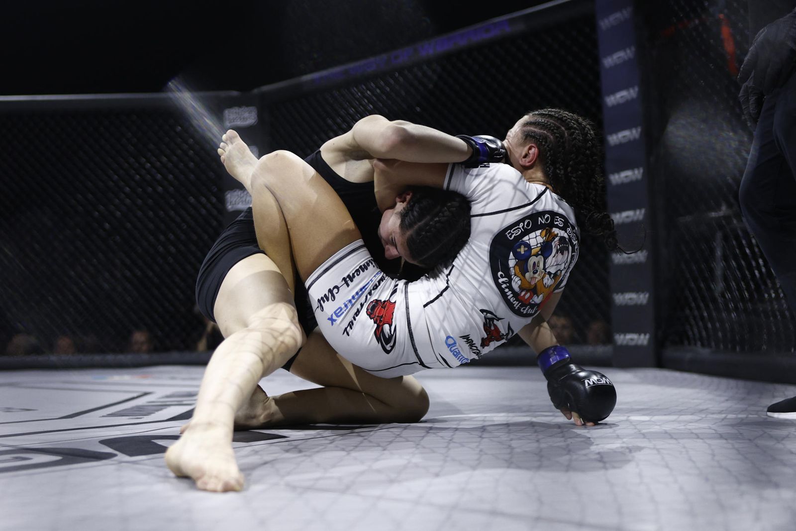 Artes marciales mixtas