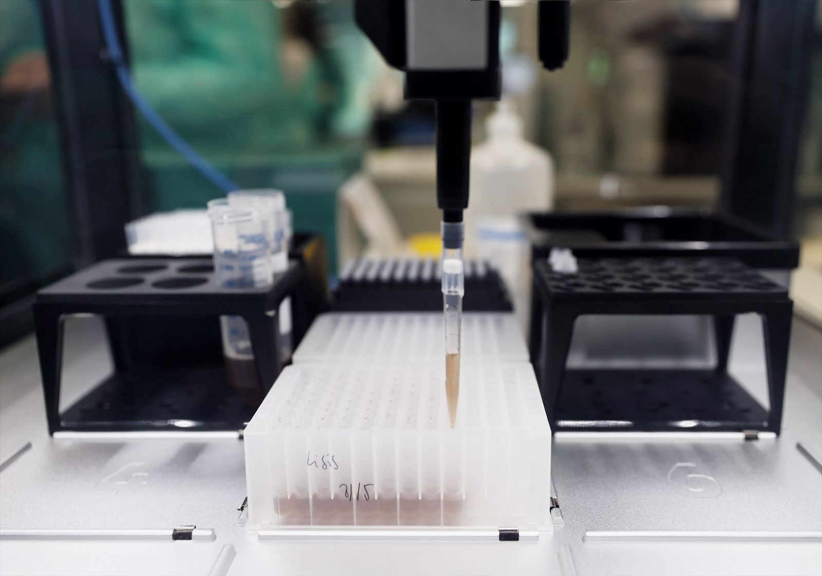 Pueba PCR