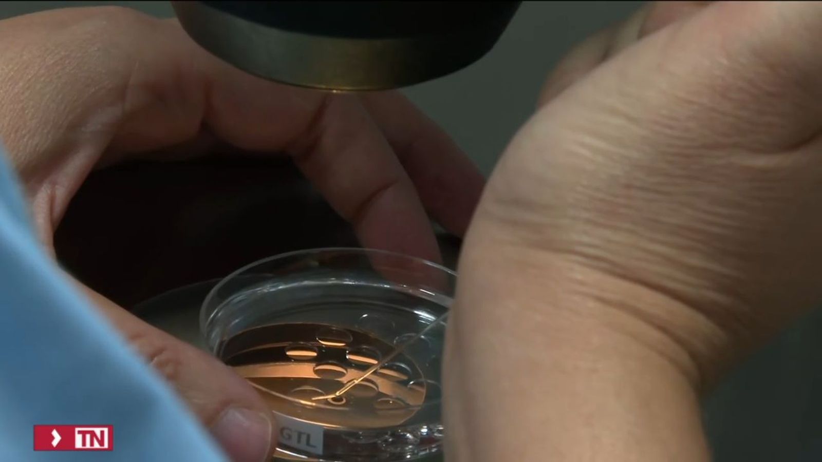 Las fertilidad asistida en Madrid para mayores de 40