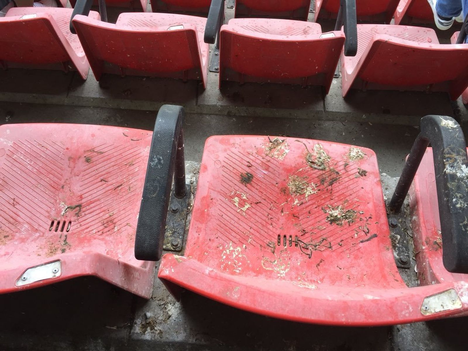 Por imágenes como estas al Rayo le han retirado la concesión de su estadio