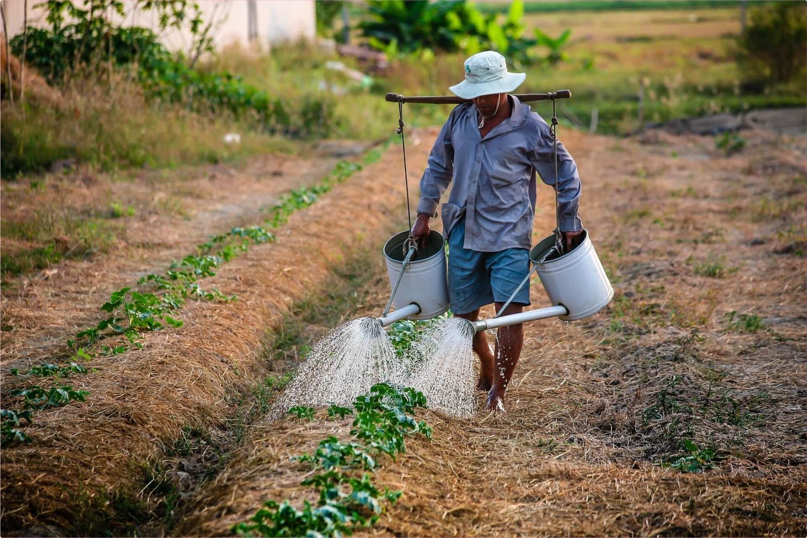 Últimos días para apuntarse en el programa CULTIVA 2024 para formar a jóvenes agricultores