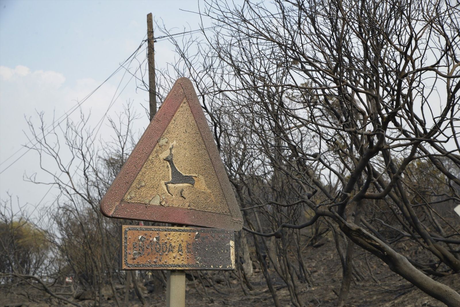 Los incendios avanzan sin control en Galicia, que activa la operación 'Centinela Gallego'