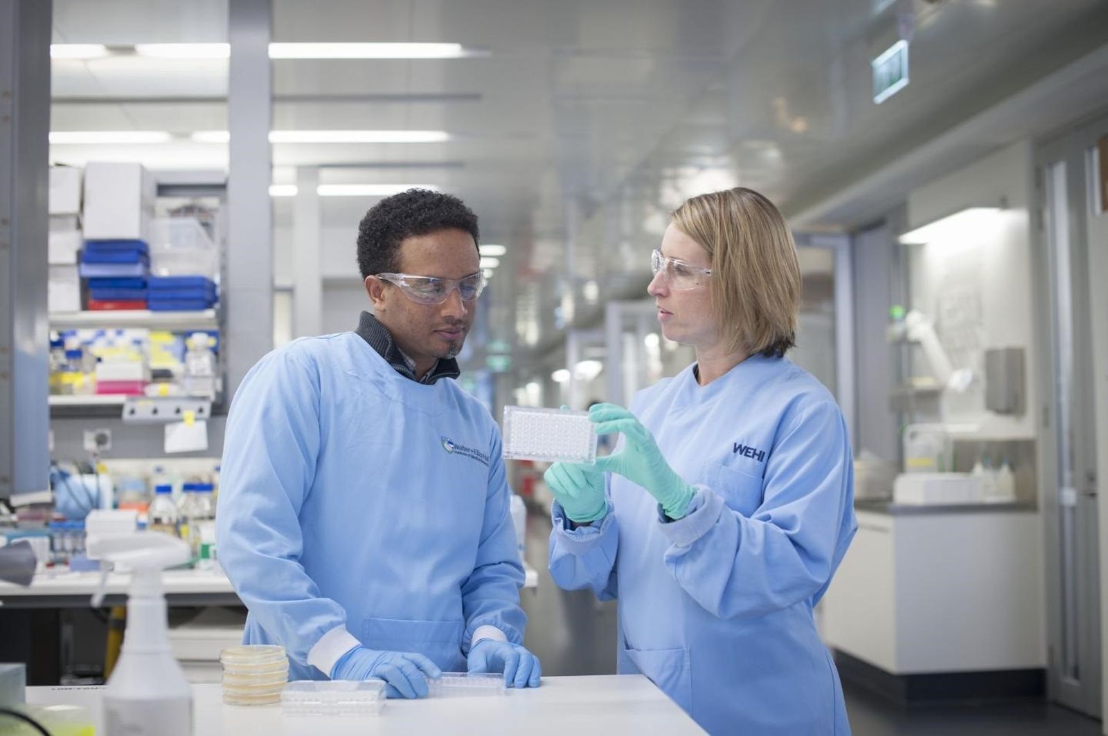 Los investigadores Sofonias Tessema y Alyssa Barry, identificaron los anticuerpos más eficaces contra las formas graves de la malaria