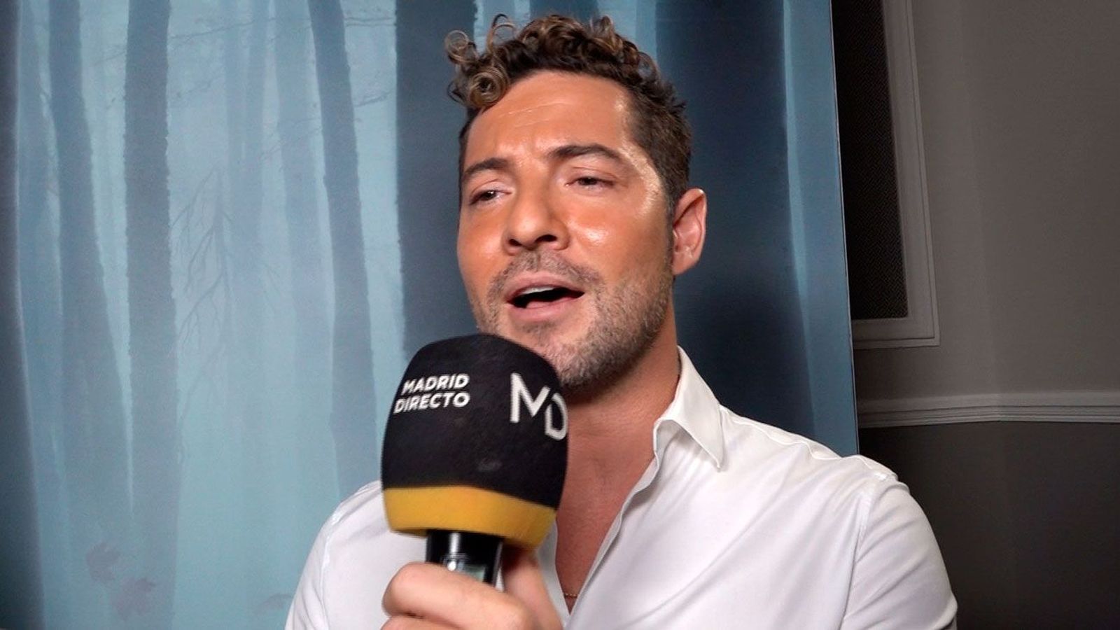 David Bisbal pone voz a la banda sonora de 'Frozen 2'
