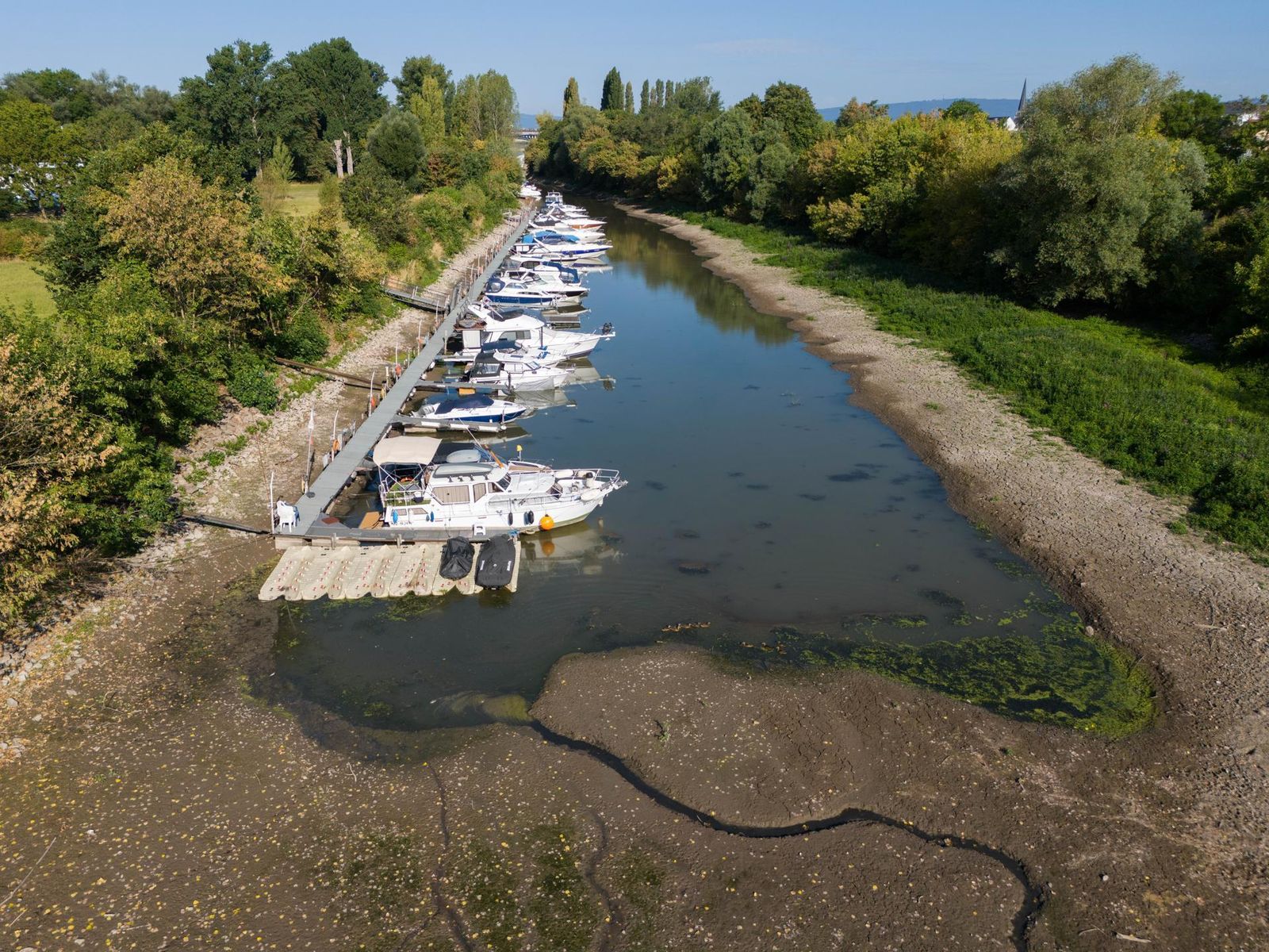 Embarcaciones atracadas por falta de agua en el río Rin, en Maguncia