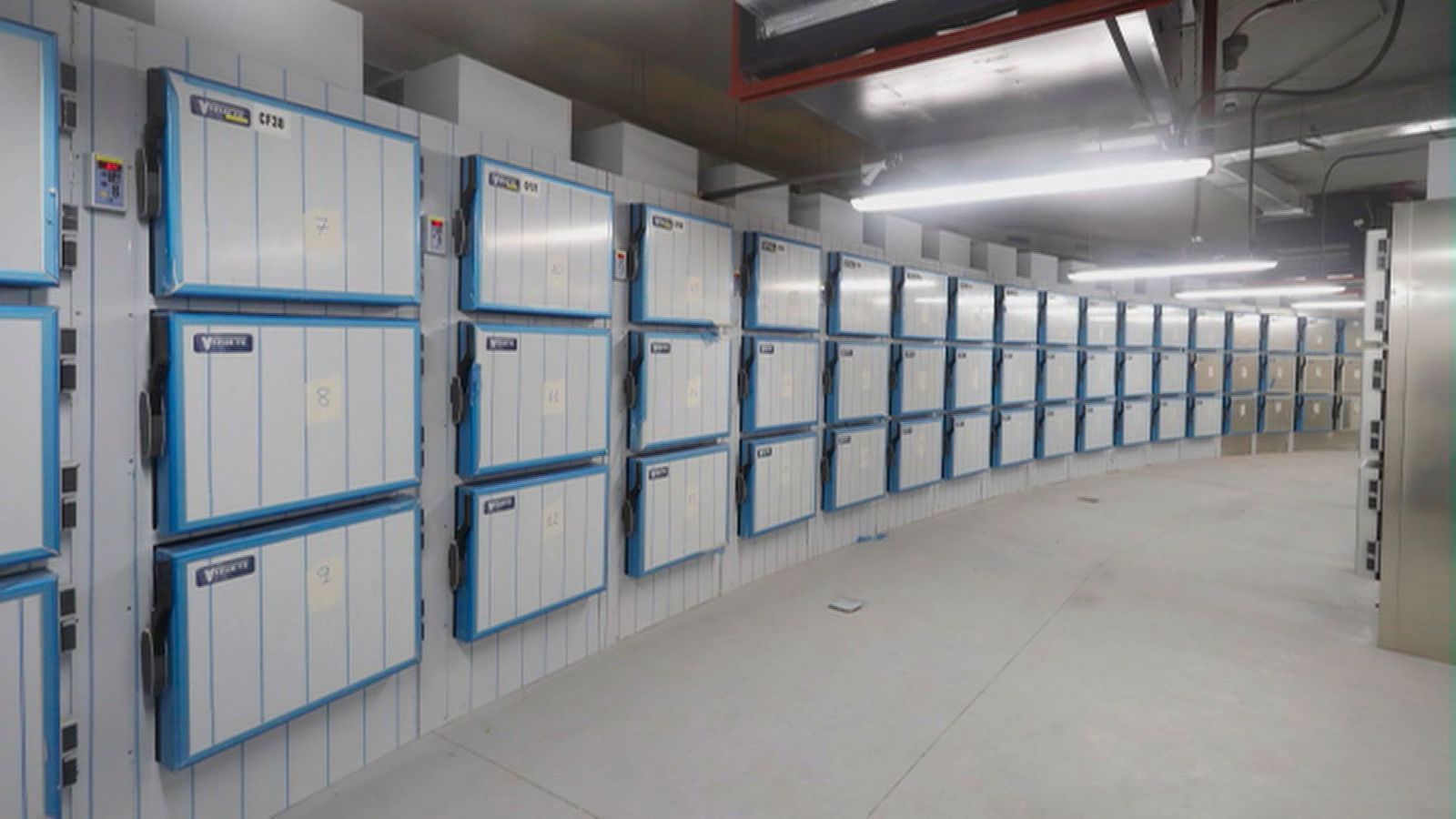 La morgue de la Ciudad  de la Justicia comienza a prestar servicio