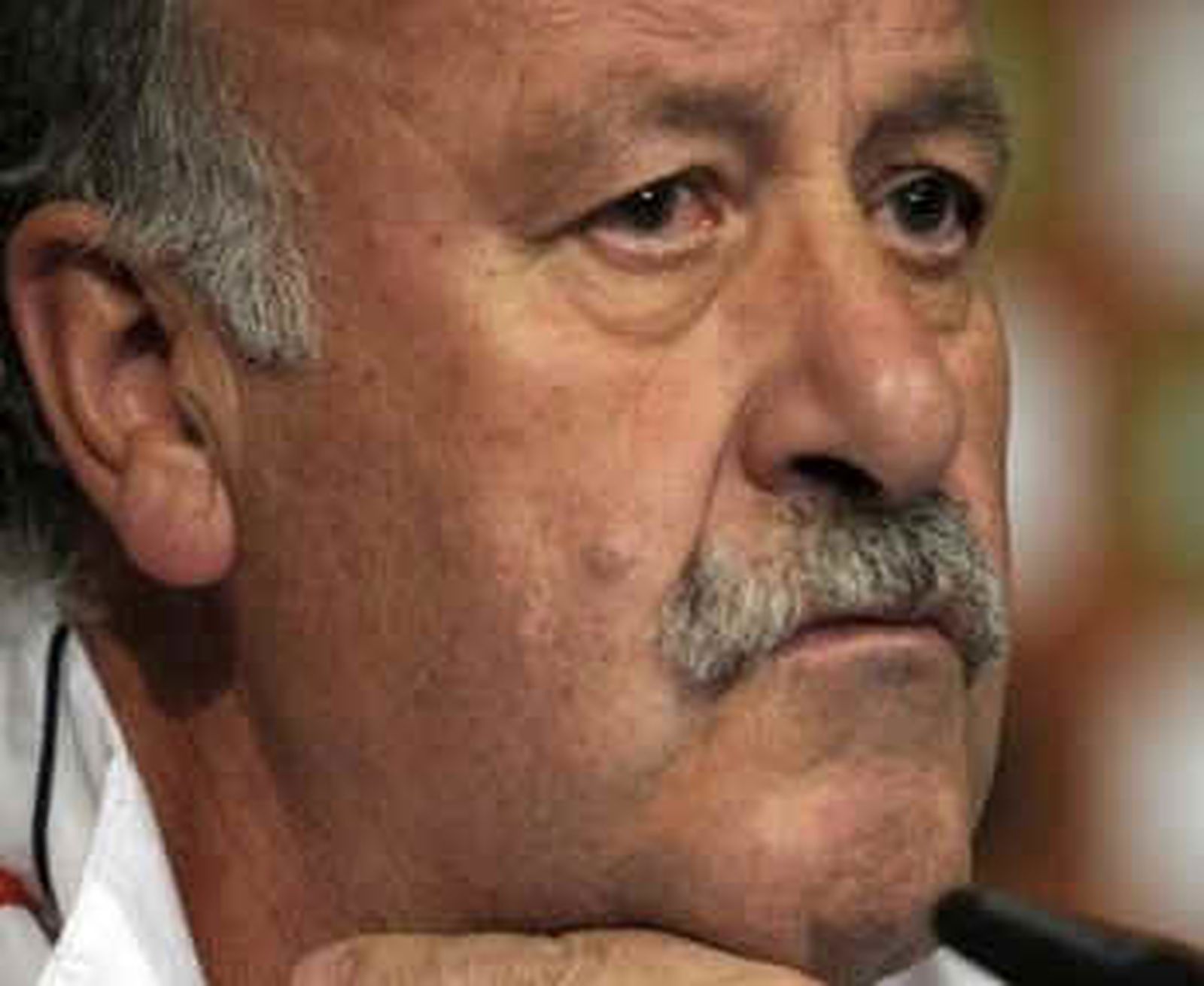 del bosque