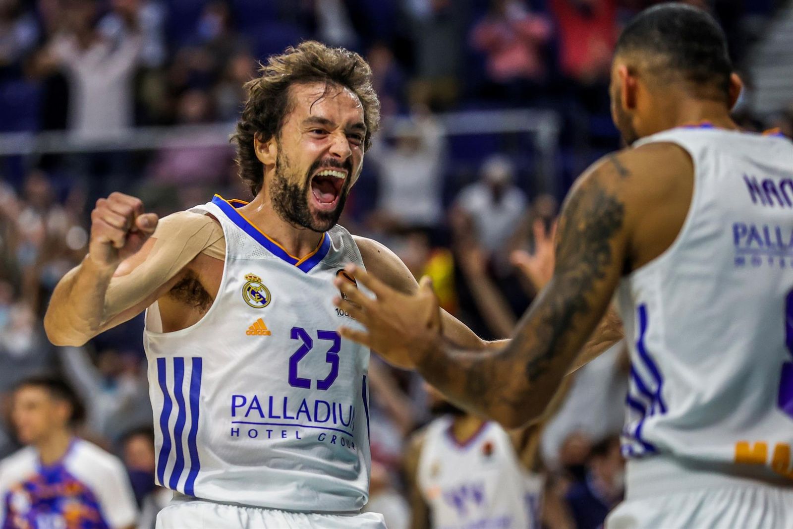 Sergio Llull