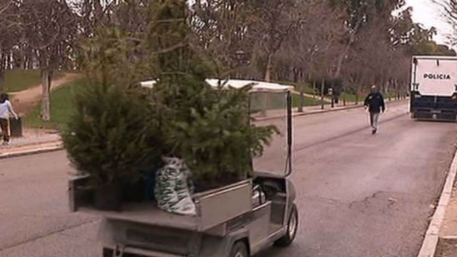 Los viveros municipales en el Retiro y la Casa de Campo comienzan a recoger árboles navideños