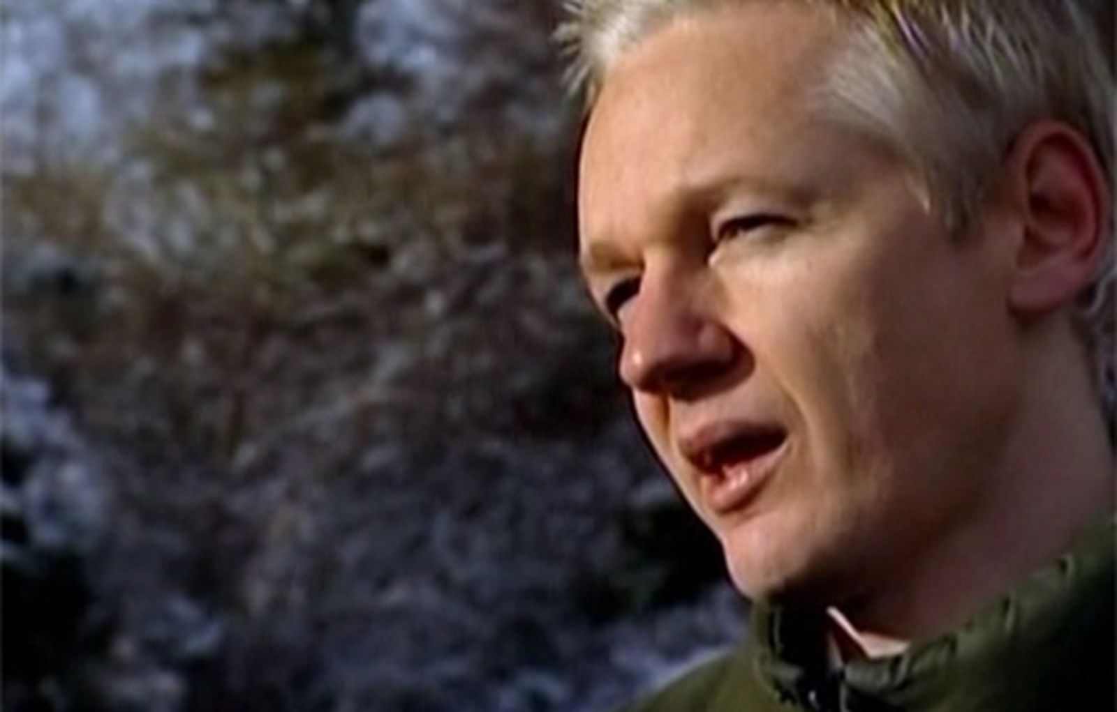 assange470_hoycarrsusel