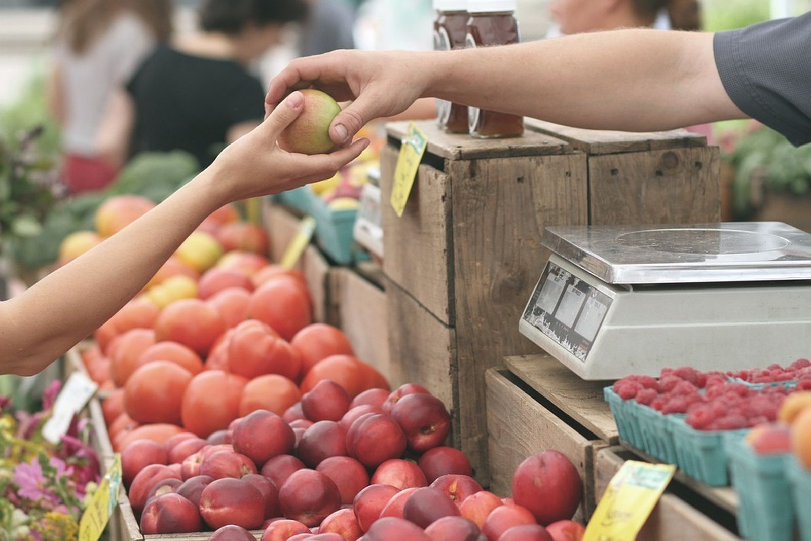 Los Mercados Municipales de Madrid, una oportunidad para montar un negocio