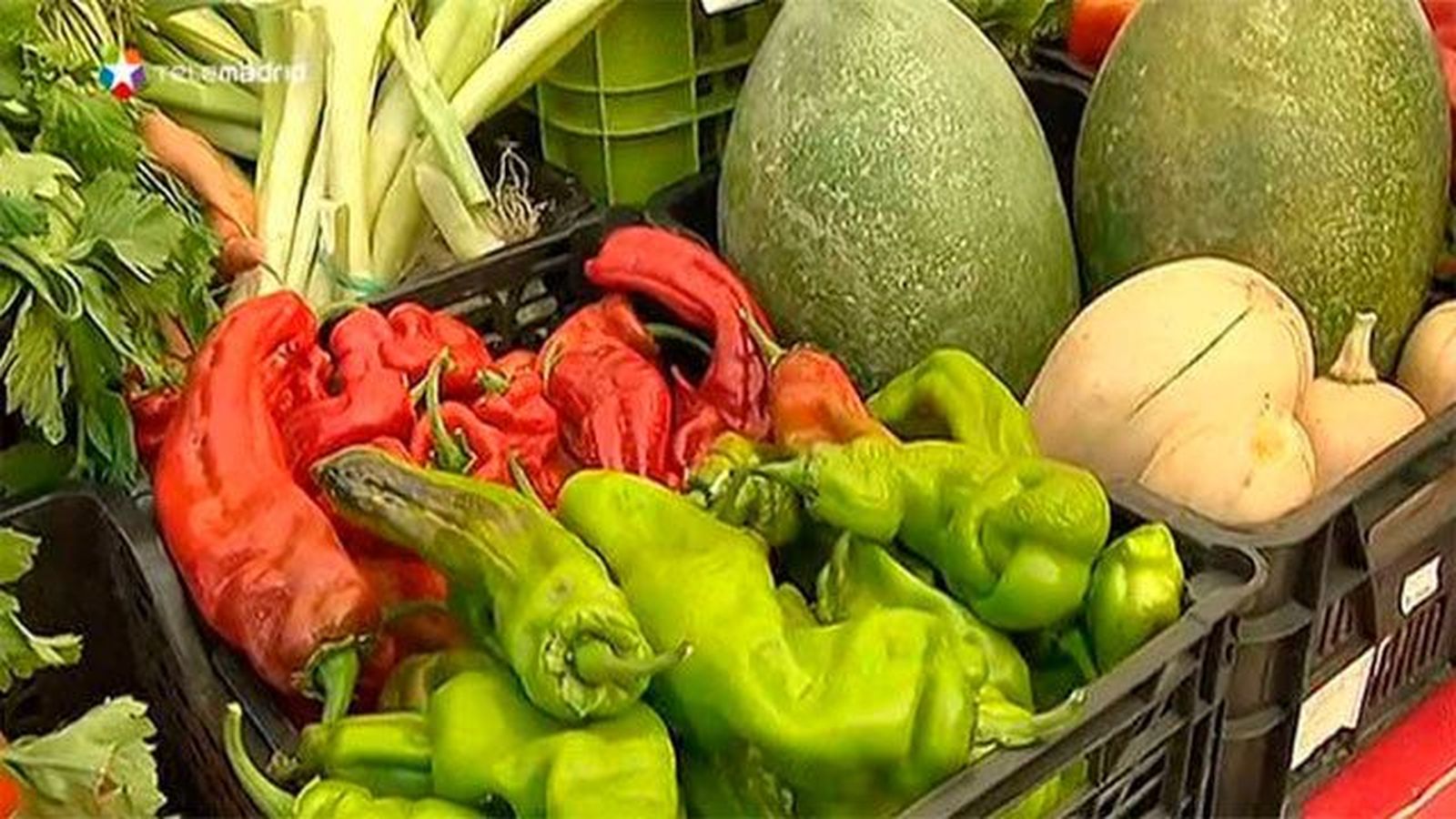 “Cómete las Ventas”: Más de 300 productos madrileños para degustar en Las Ventas