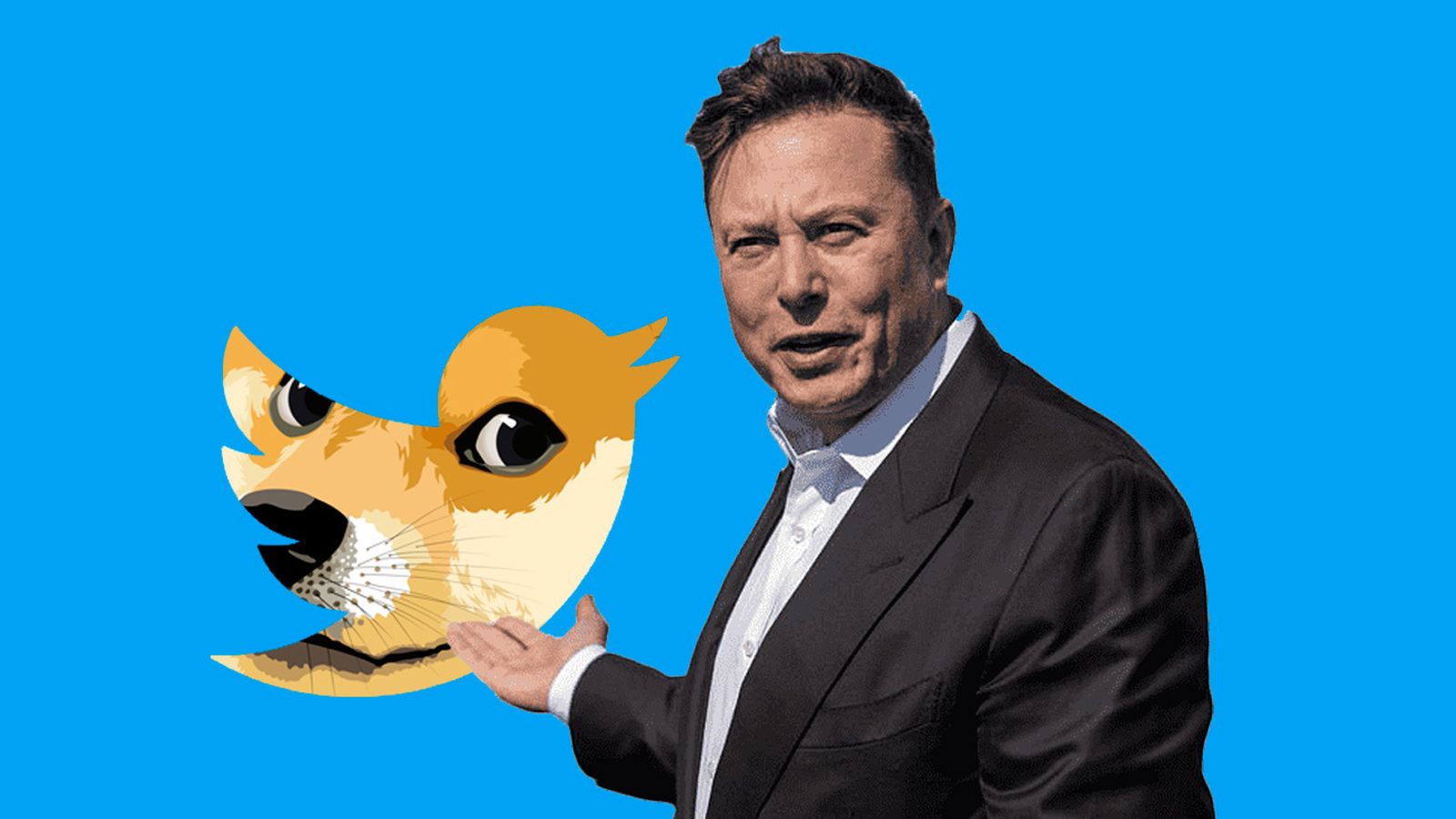 Qué es ese perro que sale en Twitter : el dogecoin