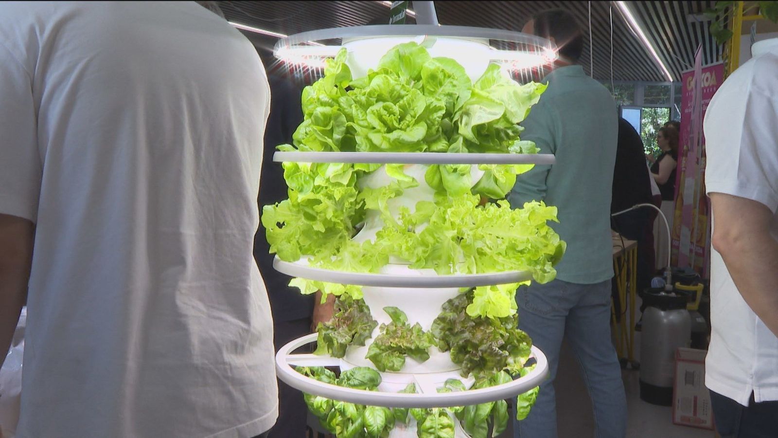 Cubiertos comestibles, huevos sin colesterol... los alimentos del futuro están en Madrid
