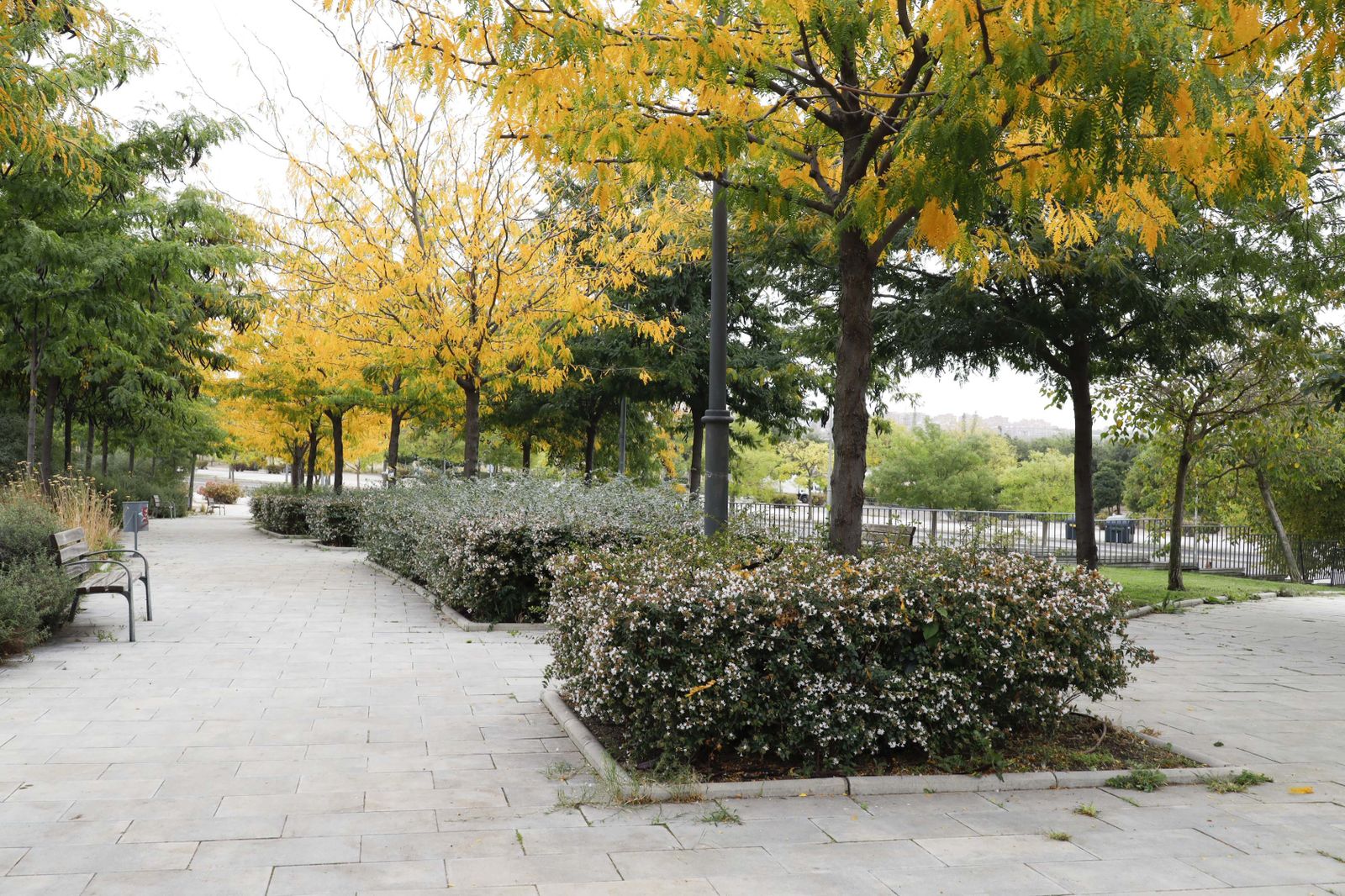 Otoño en una zona verde pública de Móstoles