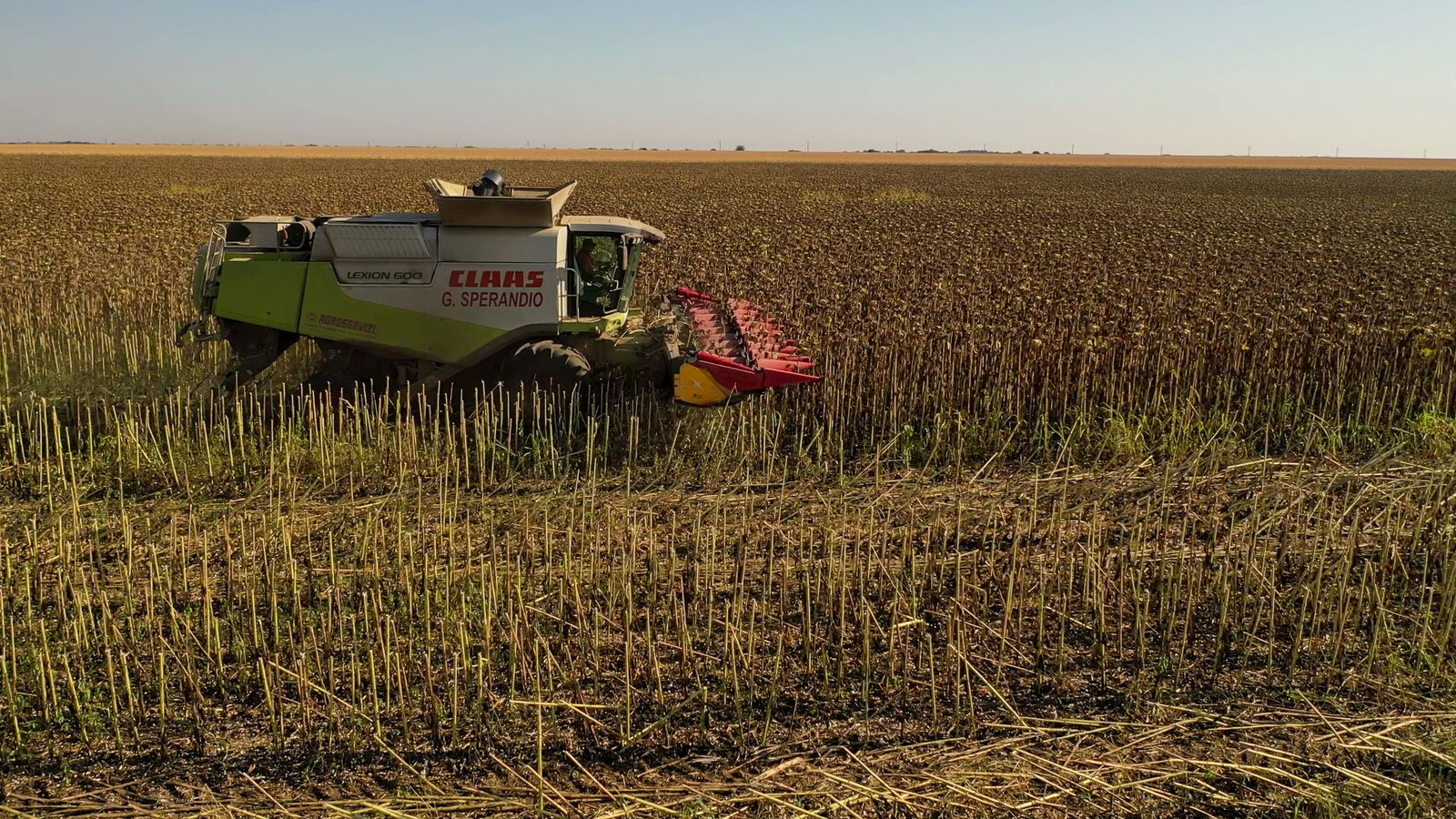 La Unión de Cooperativas Agrarias Madrileñas