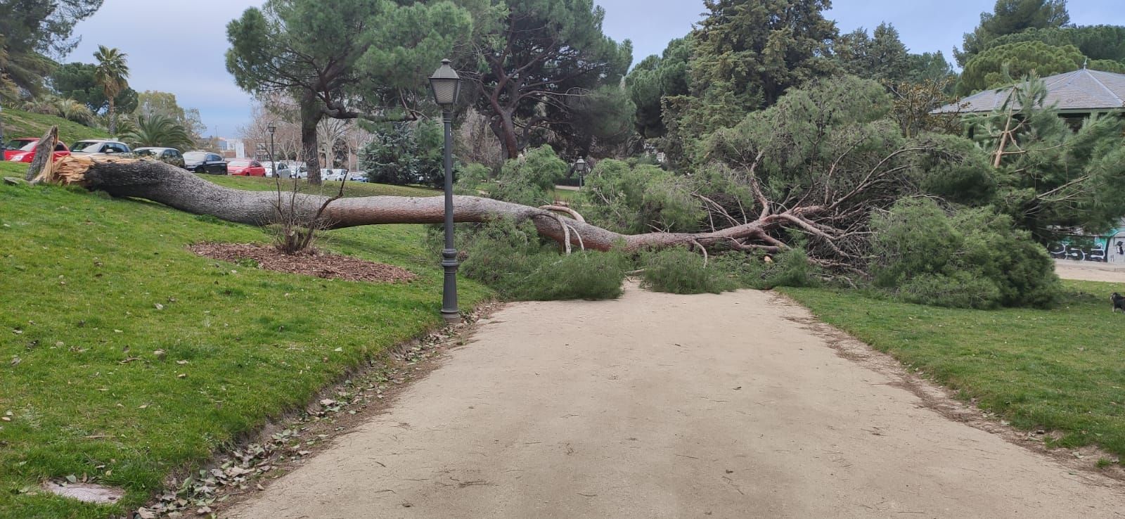 La Aemet mantiene hasta este martes el aviso por fuerte viento en Madrid